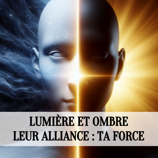 Lumière et ombre - leur alliance : ta force ☯